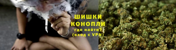 стафф Горняк