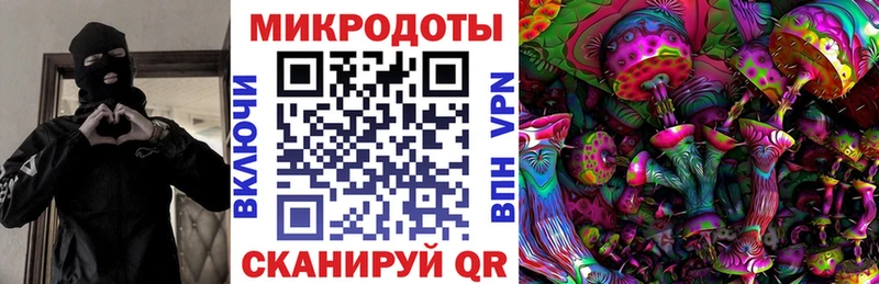 купить наркотик  Мглин  Галлюциногенные грибы Psilocybe 