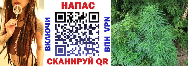 Марихуана Amnesia  где купить наркоту  Мглин 